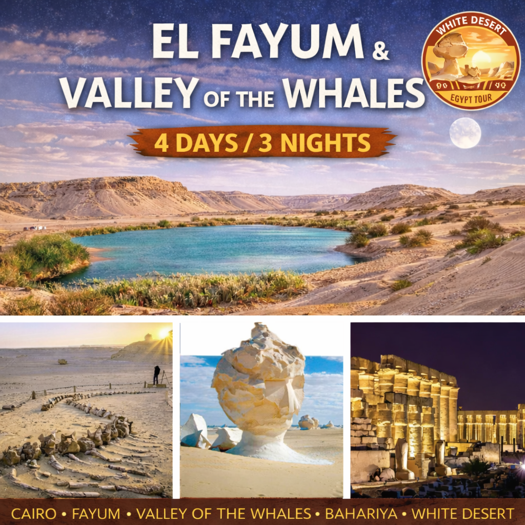 Fayoum to White Desert Tour from Cairo – 4 Day Oasis & Desert Safari