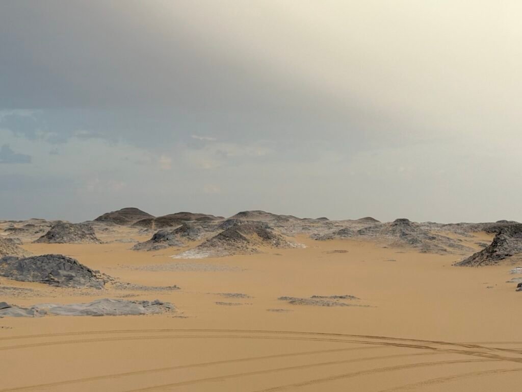 bahariya oasis and white desert
