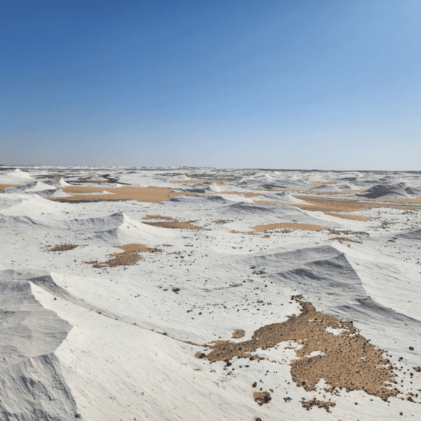 White Desert