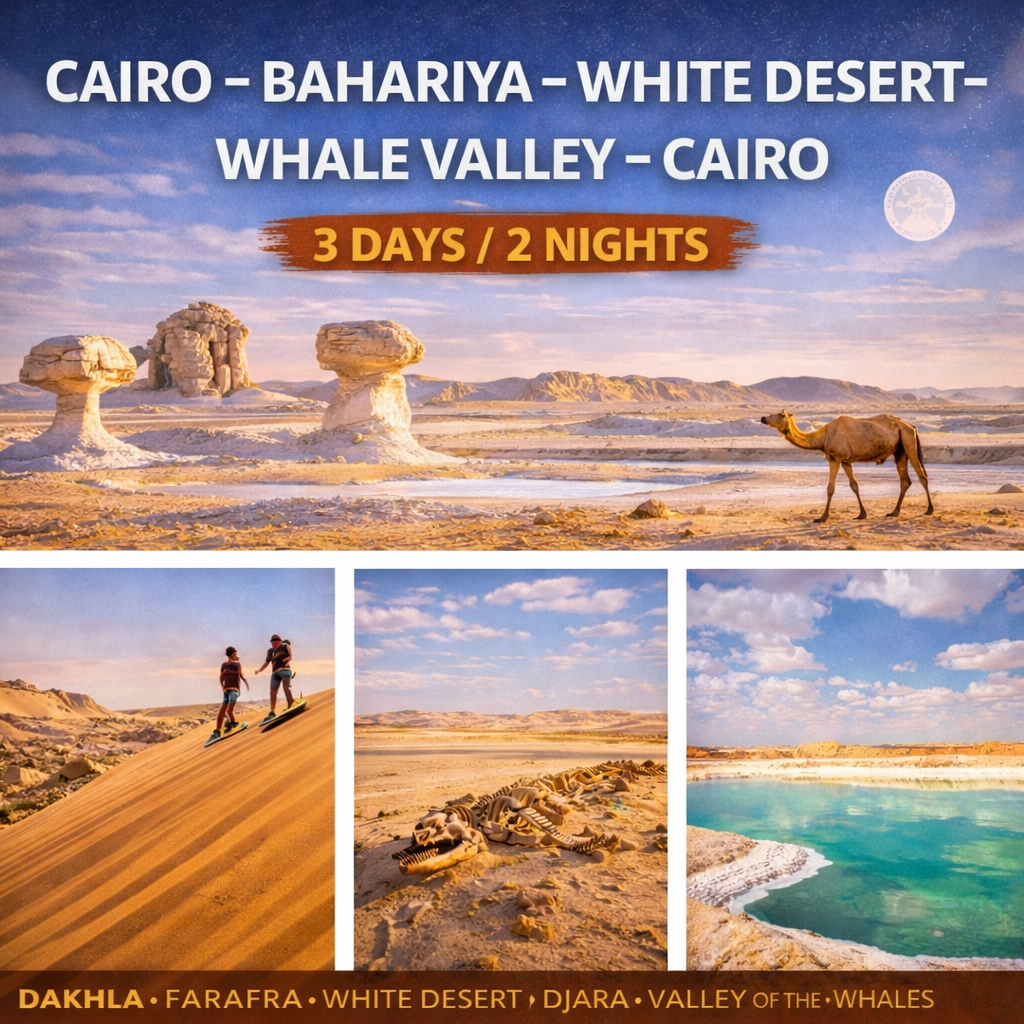 White Desert & Whale Valley Tour from Cairo – 3 Day Desert & Fossil Adventure