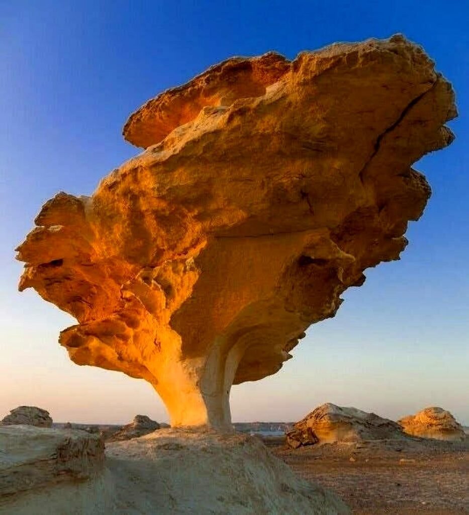 White Desert Rock Formations: How Nature Shaped Egypt’s Most Surreal Landscape