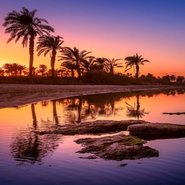 Cairo to Fayoum Day Trip: Best Itinerary, Tours & Complete Travel Guide