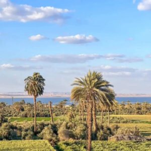 fayoum 9