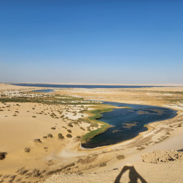 Fayoum